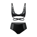 Silk & Sheer Mesh High-Waist Briefs - Black