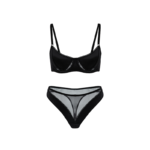 Modern Sheer Mesh & Satin Underwire Lingerie Set - Black Two-Piece