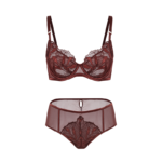 Enchanted Burgundy Embroidered Lingerie Set