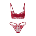 Satin & Embroidered Leaf Mesh Lingerie Set - Ruby Red