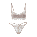 Satin & Embroidered Leaf Mesh Lingerie Set