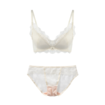 Sheer Floral Lace & Mesh Lingerie Set - Ivory Cream
