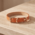 Handmade Italian Leather Cat Collar – Vibrant Orange | CHIOSSETTO
